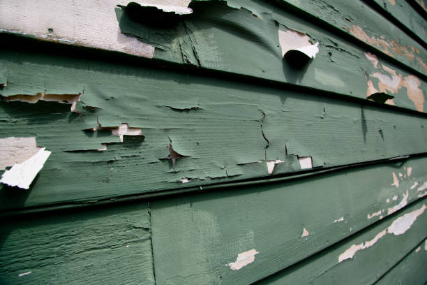 Best Garage Cleanout  in Lake Katrine, NY
